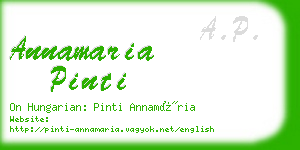 annamaria pinti business card